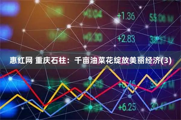 惠红网 重庆石柱：千亩油菜花绽放美丽经济(3)